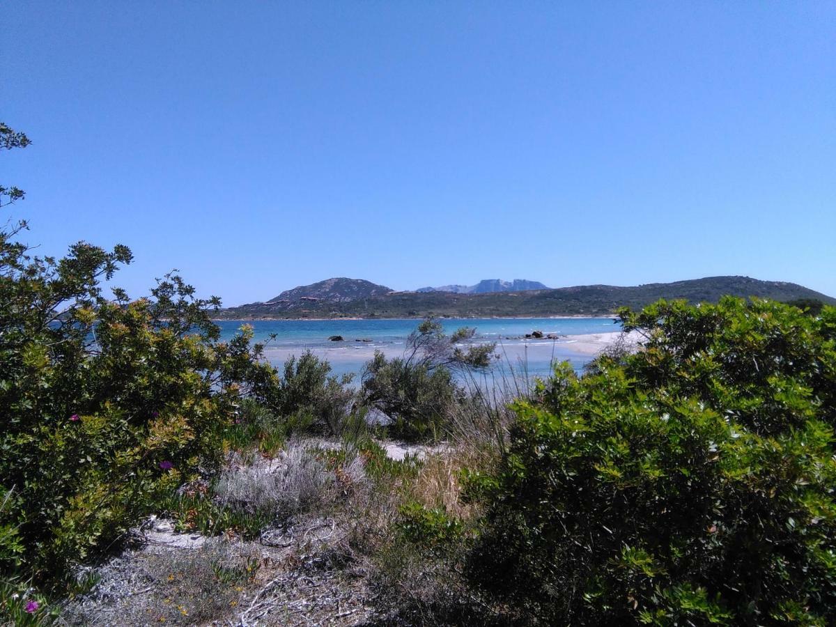 Apartamento Residenza Le Maree Murta Maria Exterior foto