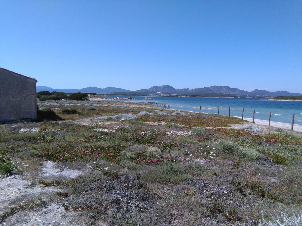 Apartamento Residenza Le Maree Murta Maria Exterior foto