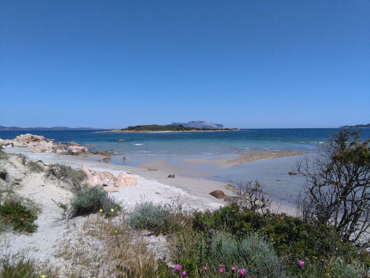 Apartamento Residenza Le Maree Murta Maria Exterior foto
