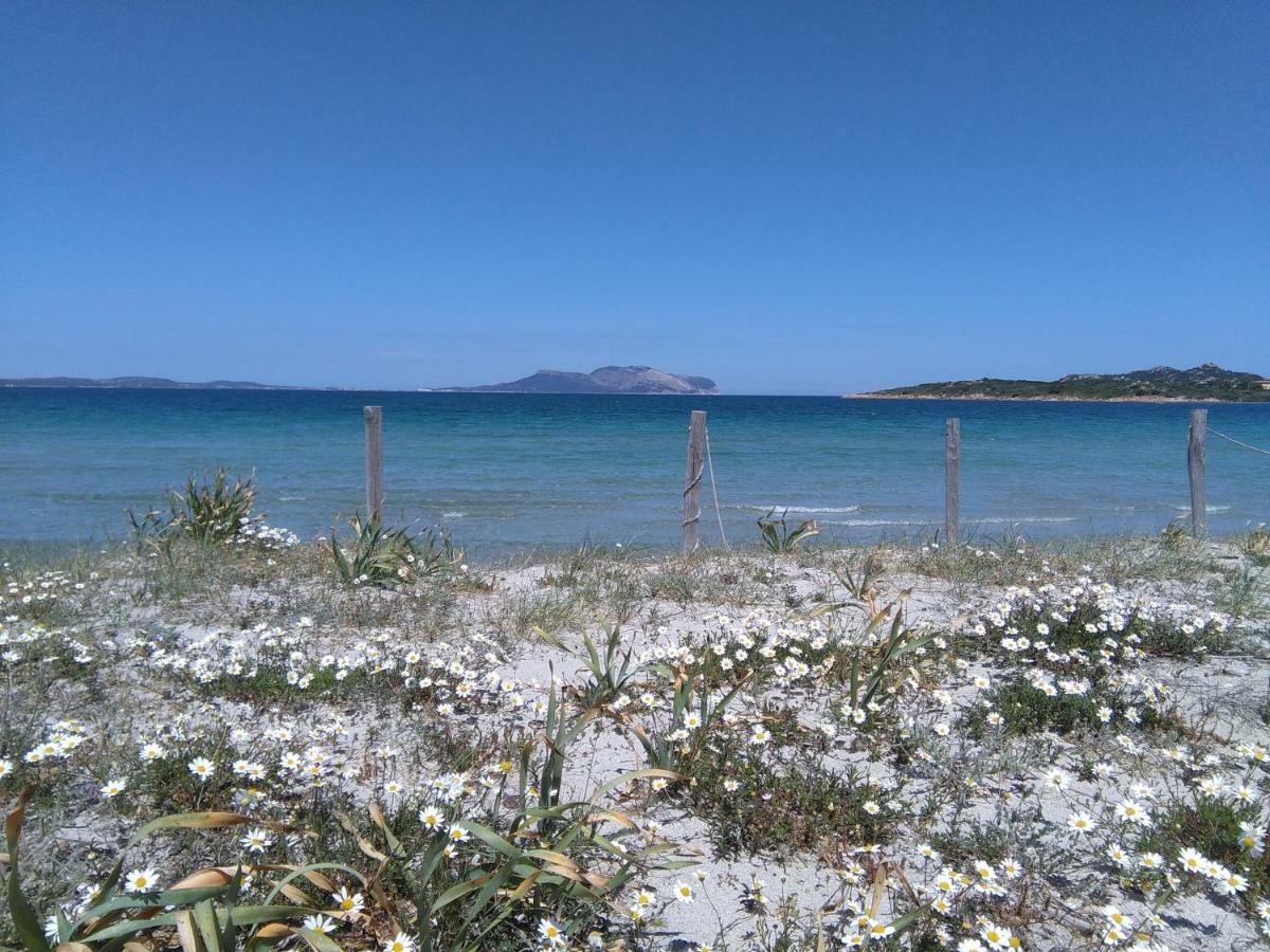 Apartamento Residenza Le Maree Murta Maria Exterior foto